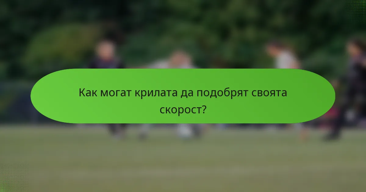 Как могат крилата да подобрят своята скорост?